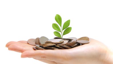 מטבעות כסף על כף יד ועלה צומח מתוכם