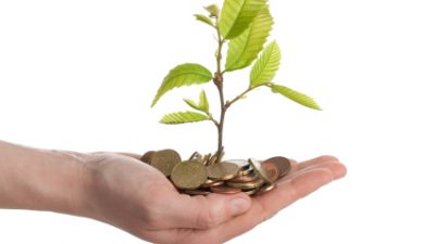 יד מושטת מלאה במטבעות וממנה צומח עץ קטן