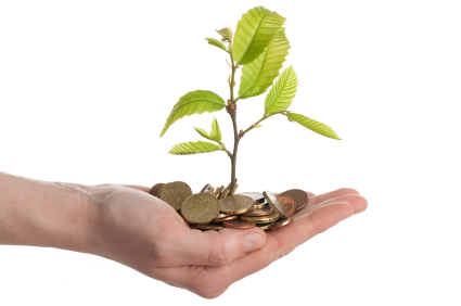 יד מושטת מלאה במטבעות וממנה צומח עץ קטן